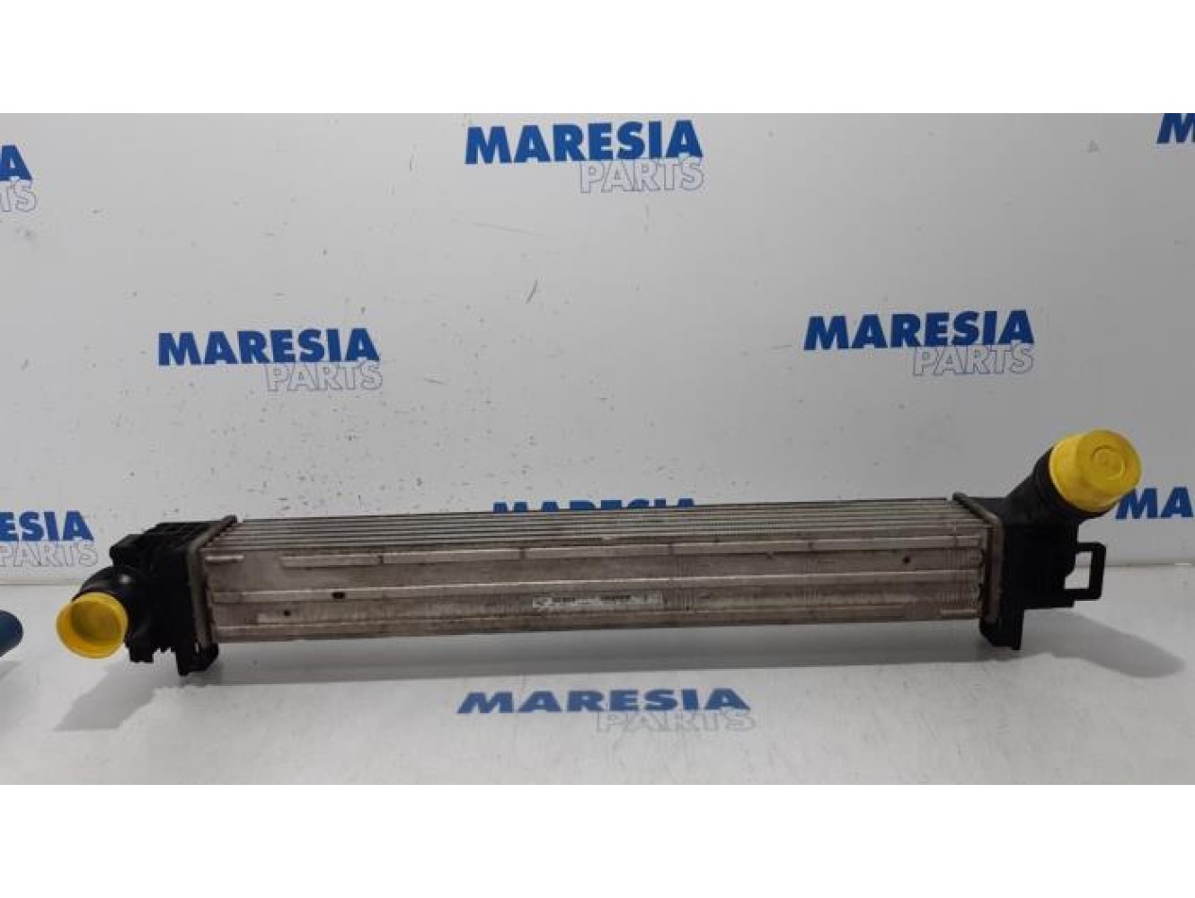 Renault - Scenic - Intercooler