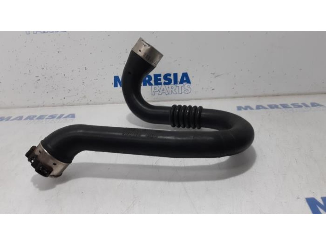 Renault - Scenic - Tube intercooler