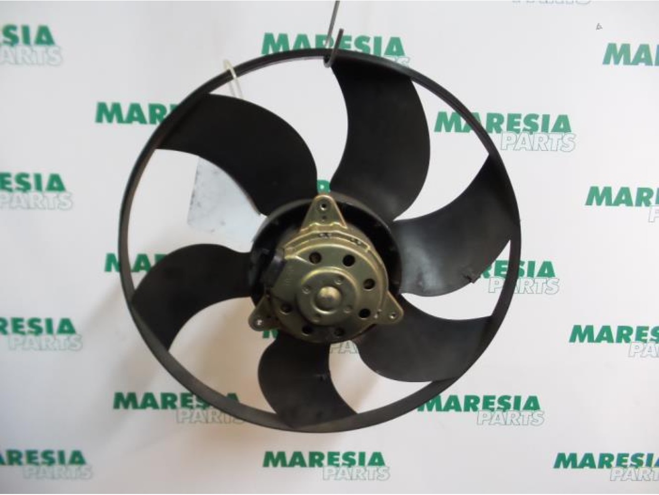 Renault - Megane Scenic - Kühlgebläse Motor