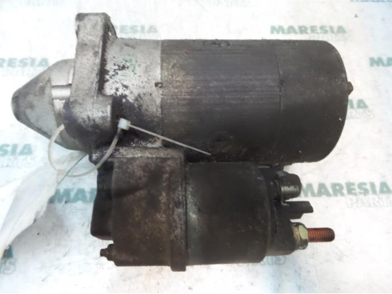 Fiat - Panda - Starter