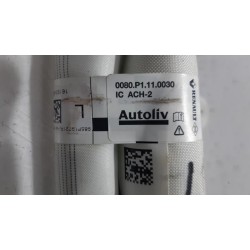 Renault - Talisman - Airbag Himmel links