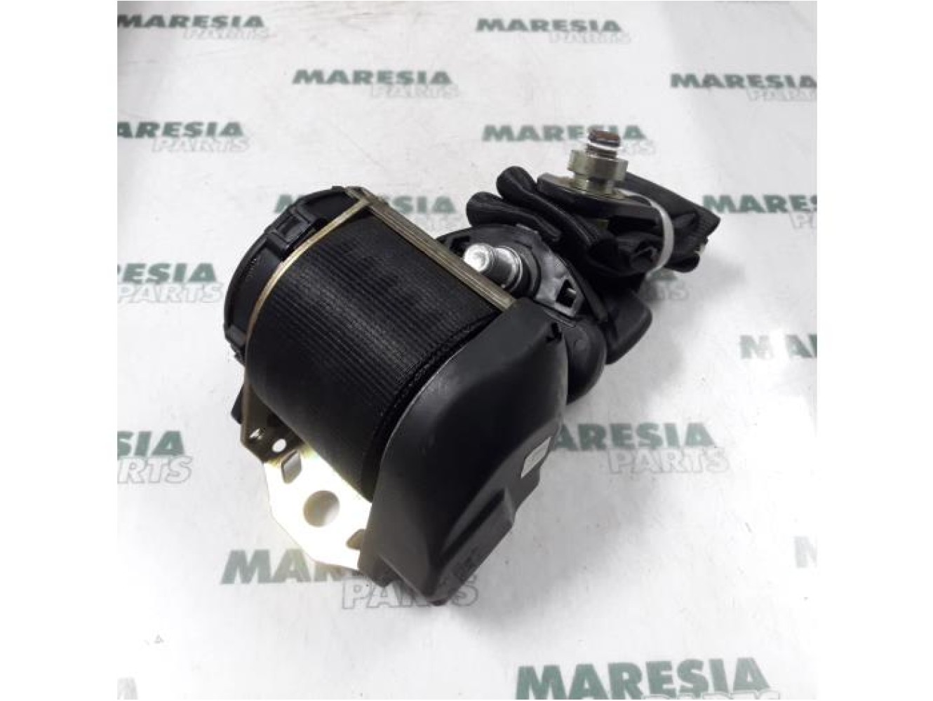 Fiat - Seicento - Sicherheitsgurt links hinten