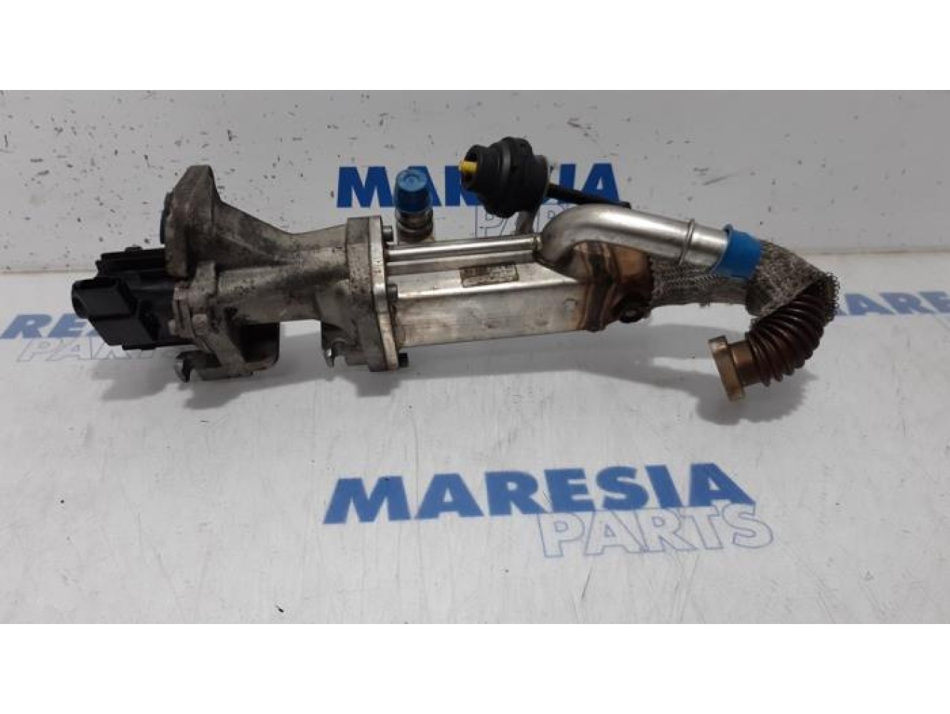 Citroen - C-Crosser - EGR koeler