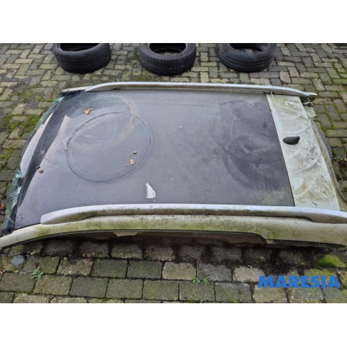 Peugeot - 407 - Panoramadach