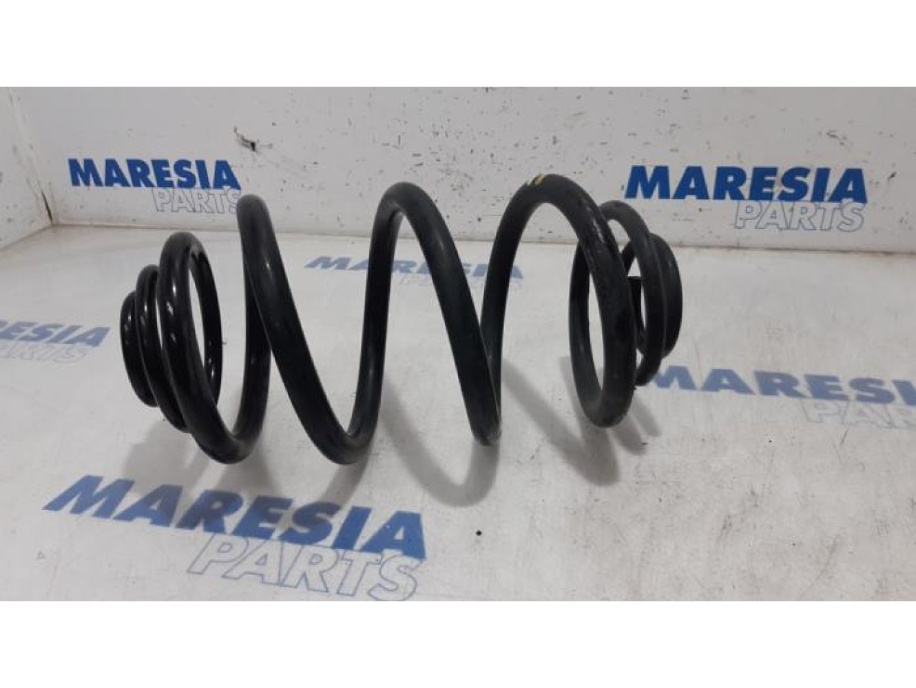 Renault - Trafic - Rear coil spring
