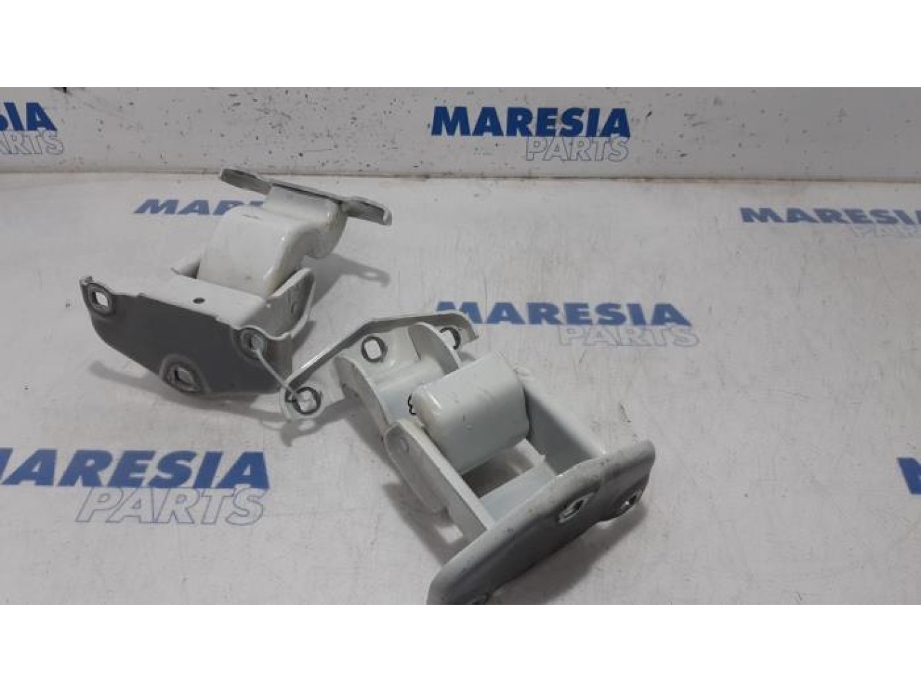 Renault - Trafic - Set of hinges