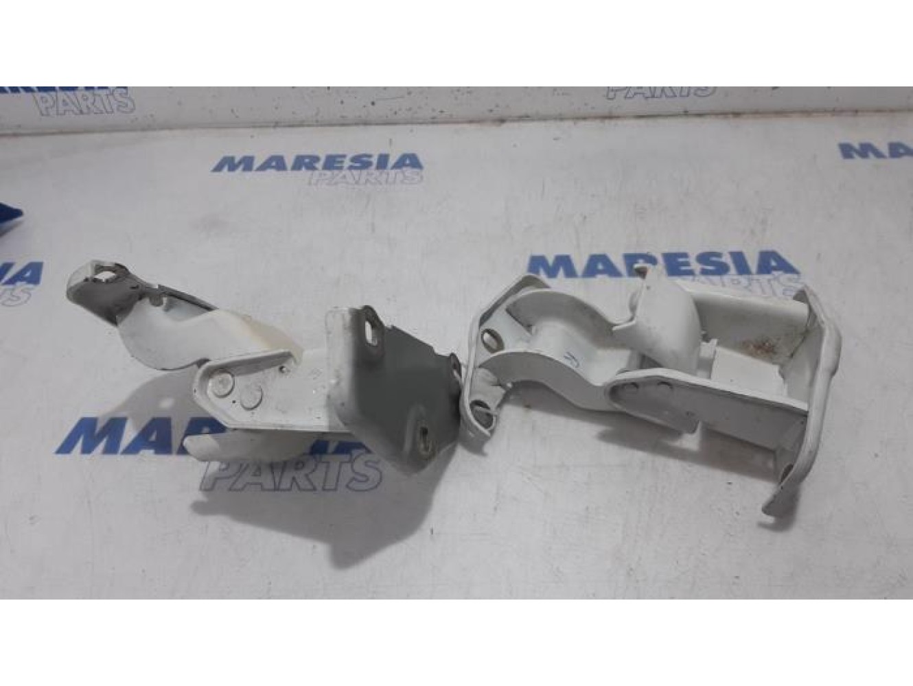 Renault - Trafic - Set of hinges