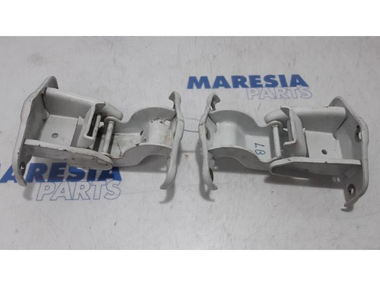 Renault - Trafic - Set of hinges