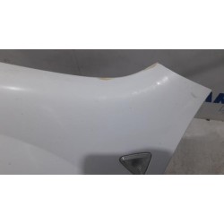 Renault - Kangoo - Scherm links-voor