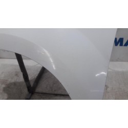 Renault - Kangoo - Scherm links-voor
