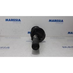 Peugeot - 206 - Front shock absorber rod, left