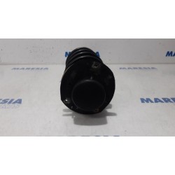Peugeot - 206 - Front shock absorber rod, left