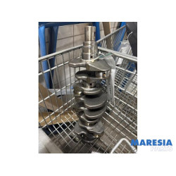 Citroen - Jumpy - Crankshaft