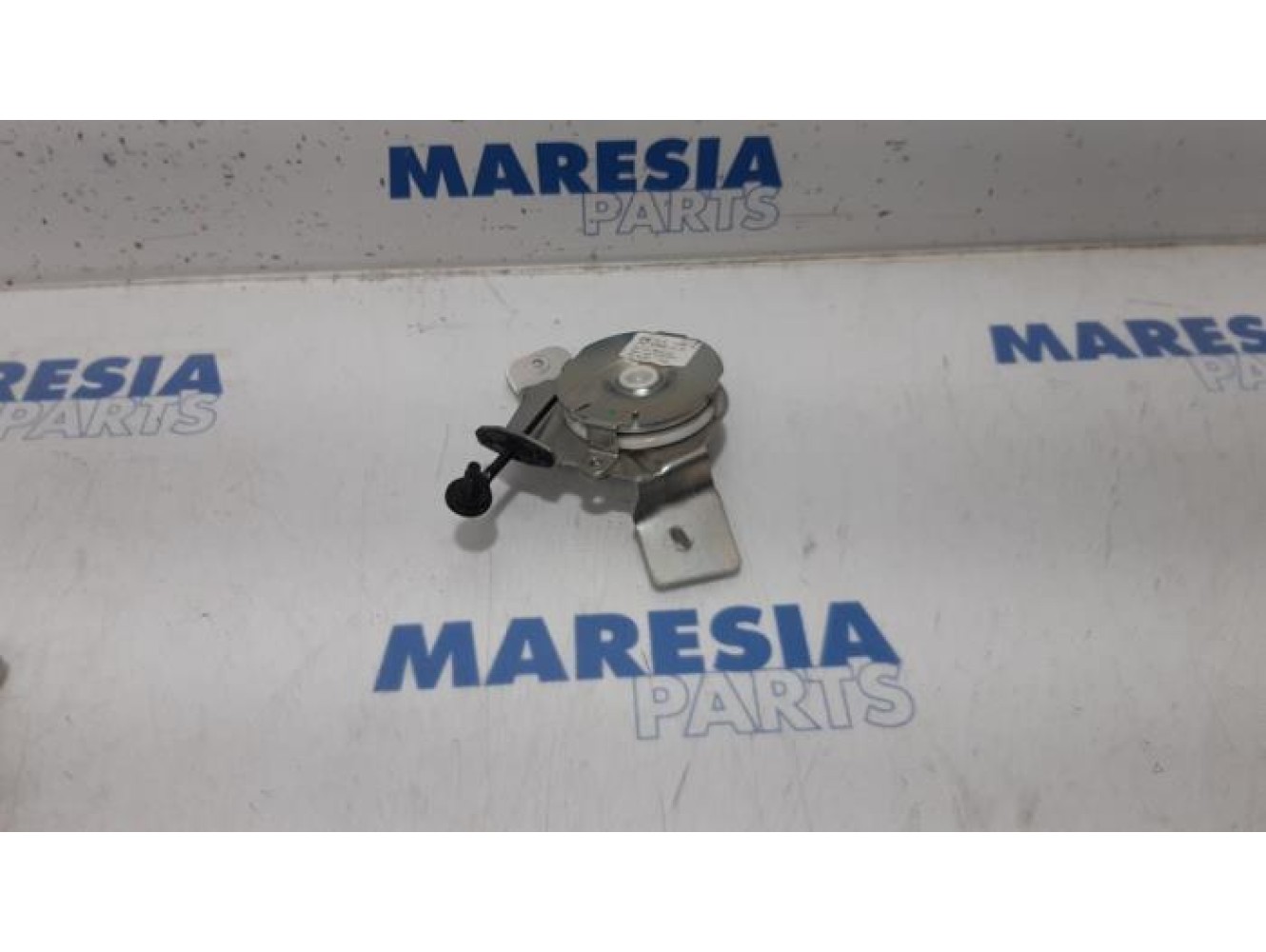 Peugeot - 3008 - Tailgate hinge