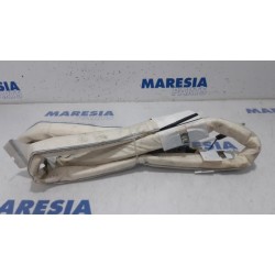 Renault - Espace - Airbag hemel links