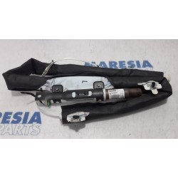 Renault - Megane - Airbag hemel links