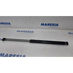 Renault - Megane - Set Gasdempers Achterklep