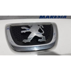 Peugeot - Expert - Grill
