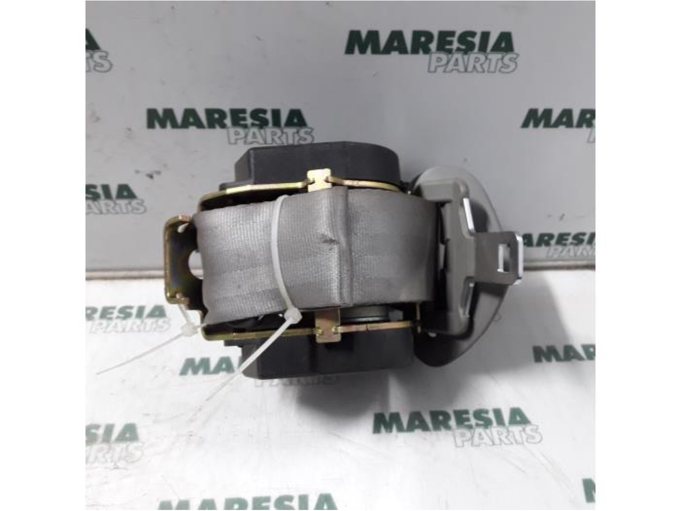 Renault - Megane Scenic - Sicherheitsgurt links hinten