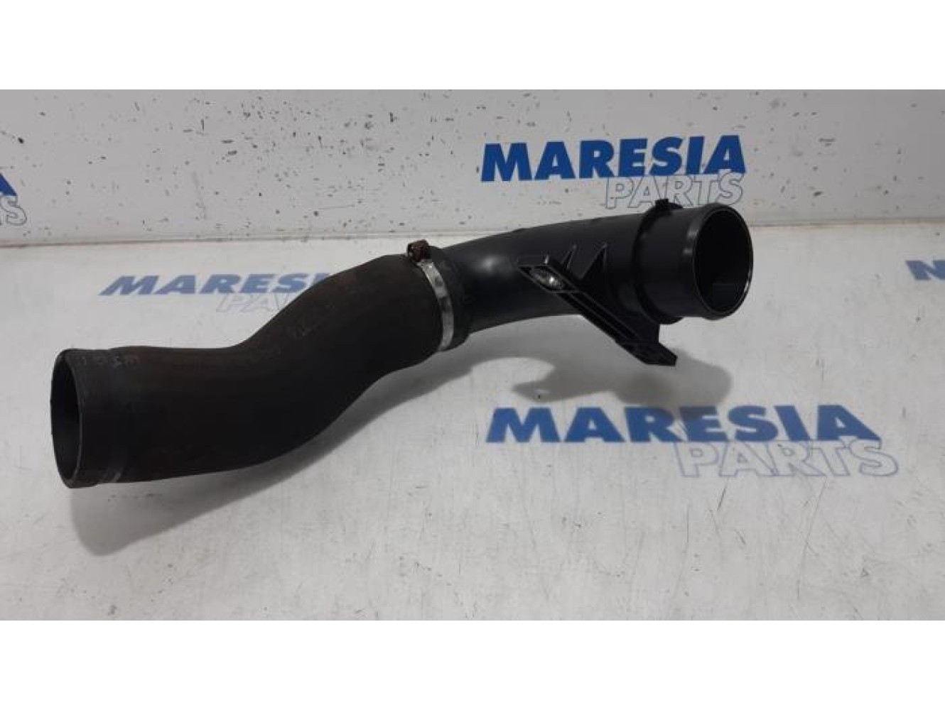 Fiat - Ducato - Turbo hose