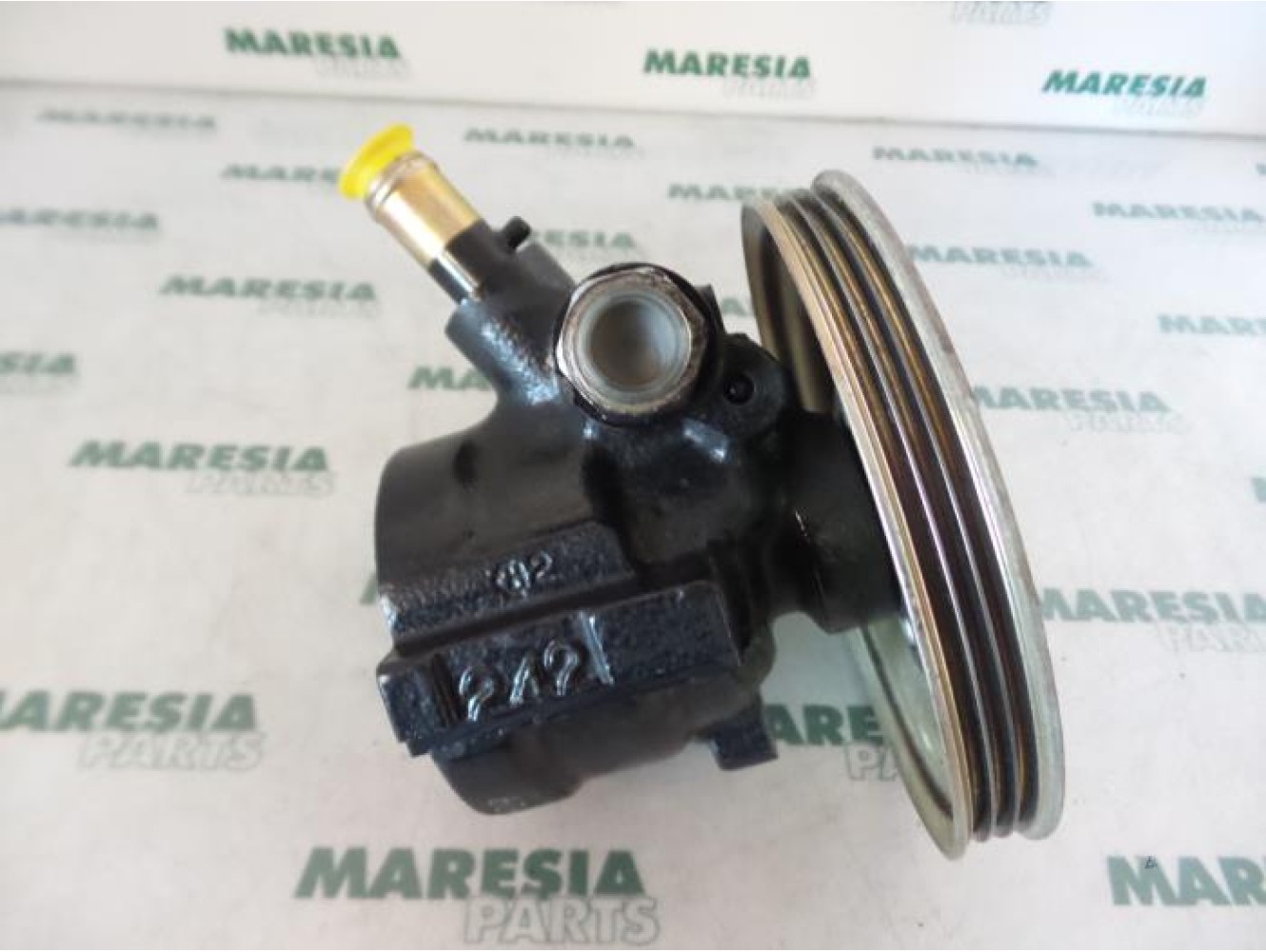 Fiat - Palio - Power steering pump