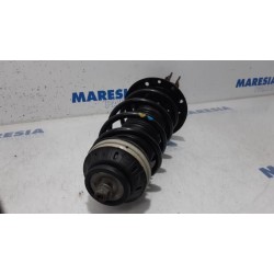 Fiat - Punto - Front shock absorber rod, left
