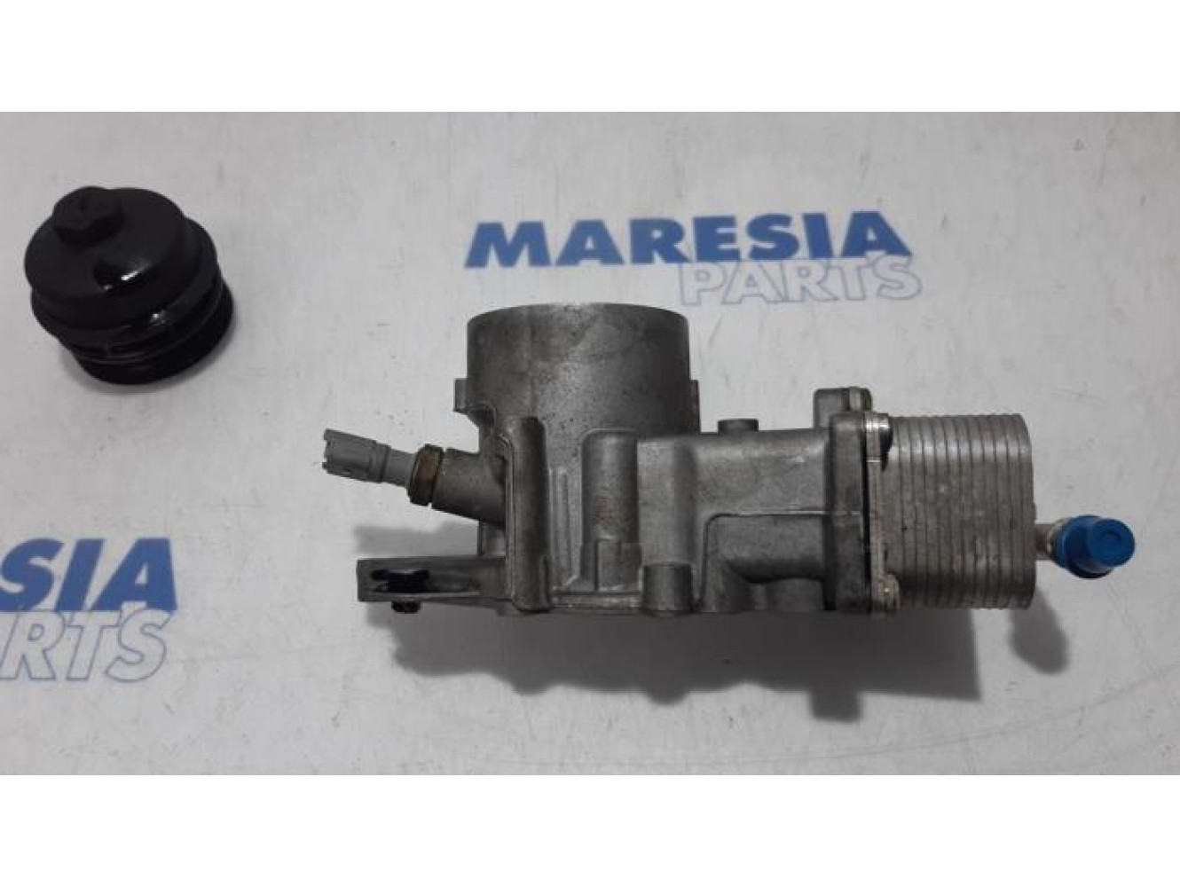 Peugeot - 307 - Oil filter holder