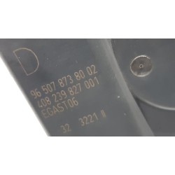 Peugeot - 307 - Gasklephuis