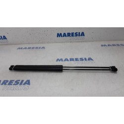 Dacia - Logan - Set of tailgate gas struts