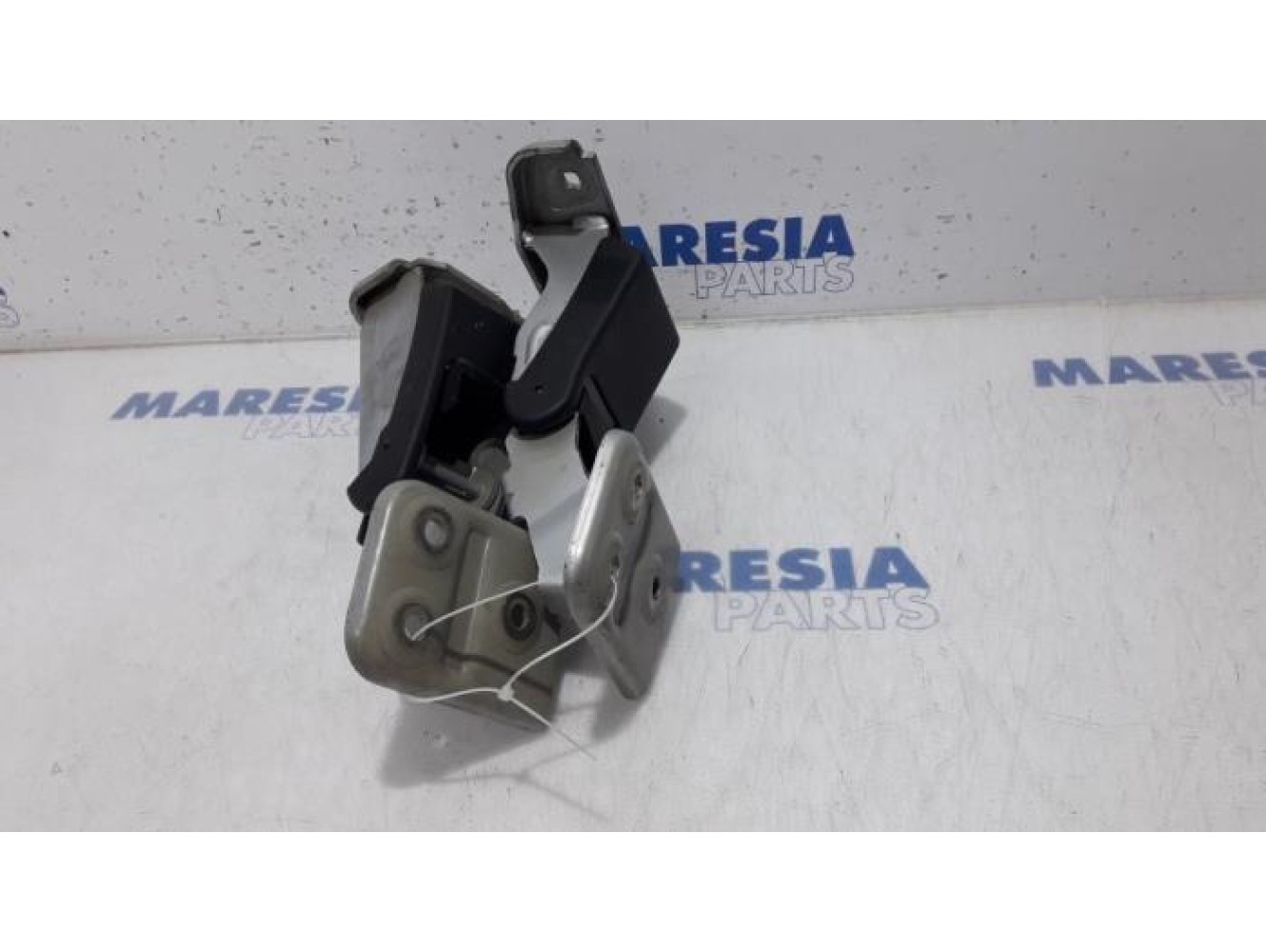Citroen - Jumpy - Rear door hinge, right