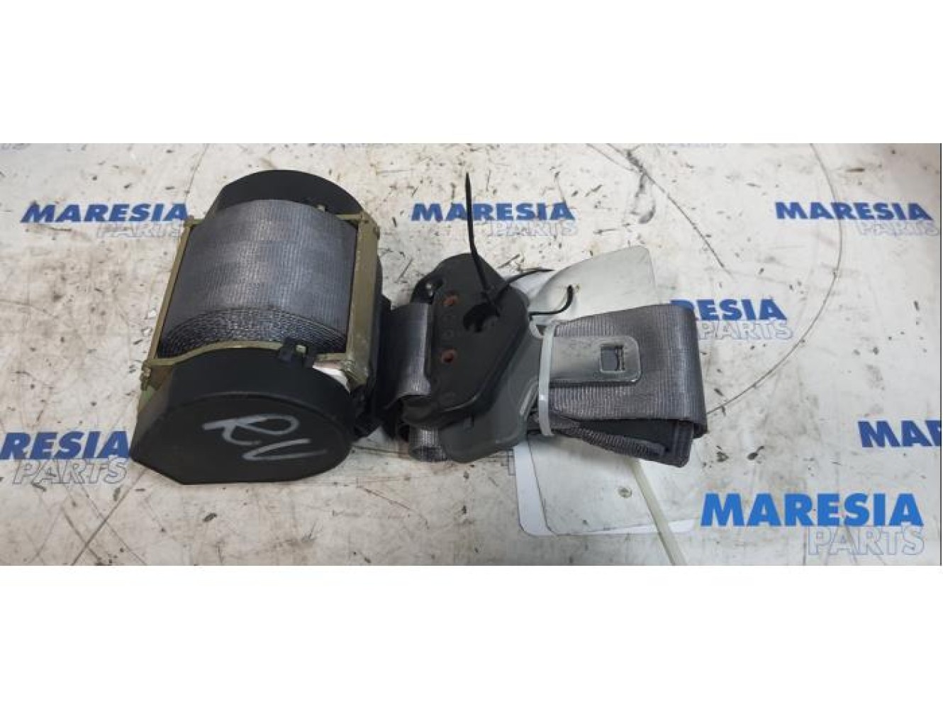 Peugeot - 406 - Ceinture de sécurité avant gauche