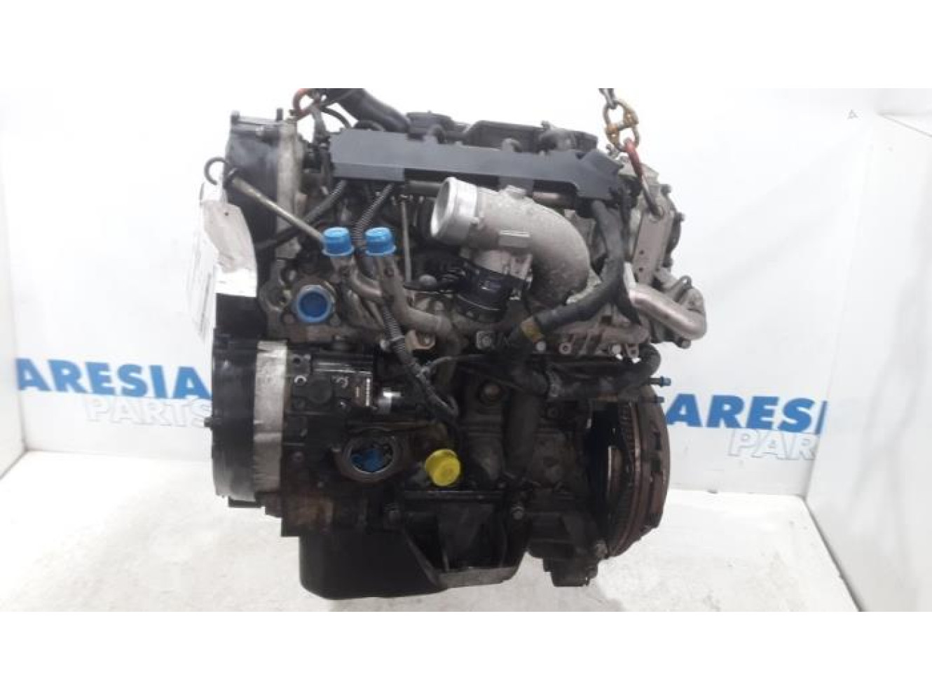 Iveco - Daily - Engine