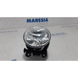 Renault - Scenic - Fog light, front right