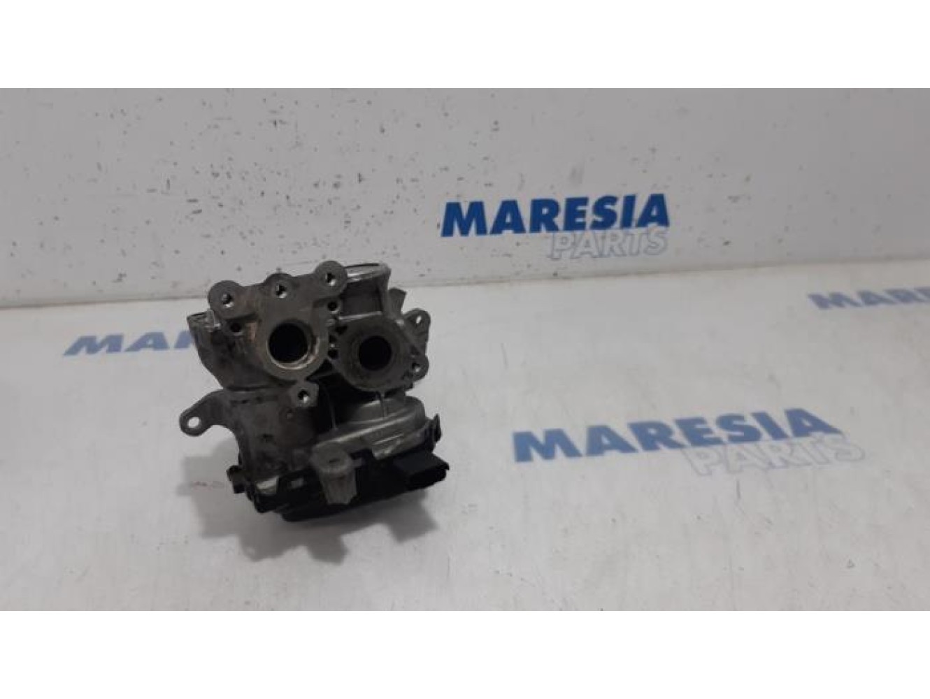 Citroen - DS3 - EGR Klep