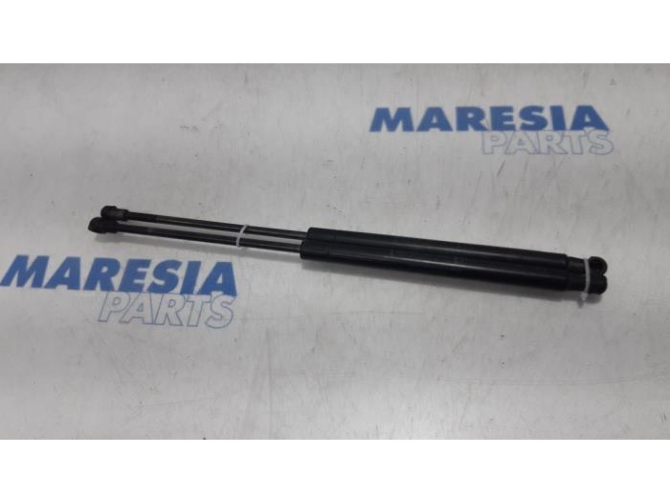 Fiat - Punto - Set of tailgate gas struts