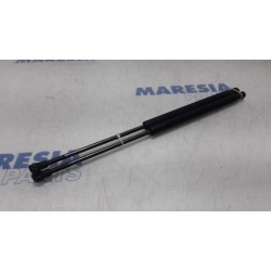 Fiat - Punto - Set of tailgate gas struts