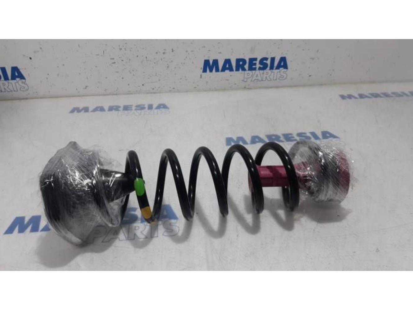 Renault - Scenic - Rear coil spring