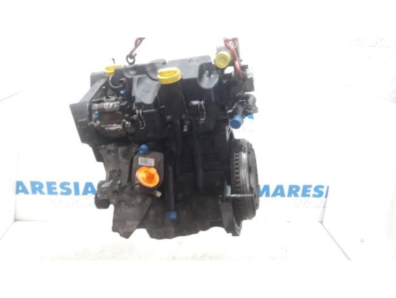 Renault - Scenic - Motor