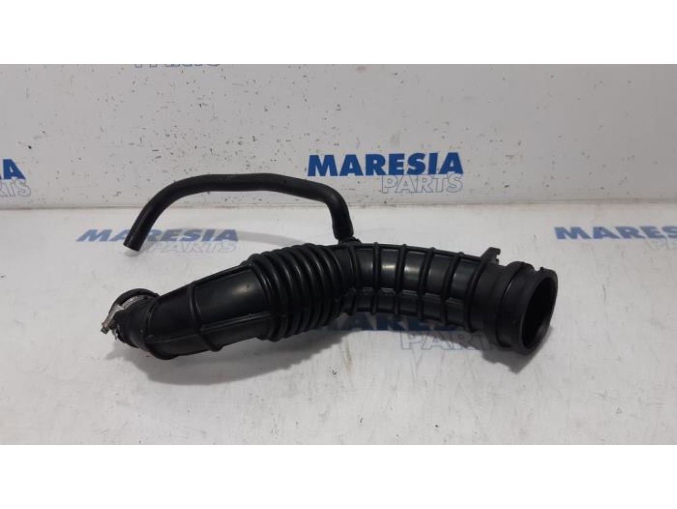 Renault - Scenic - Turbo hose