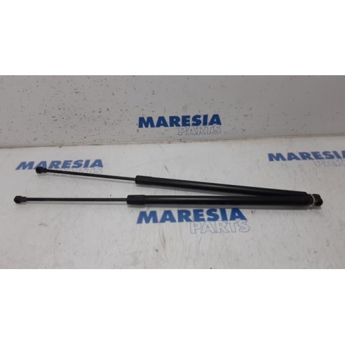 Renault - Scenic - Set of tailgate gas struts