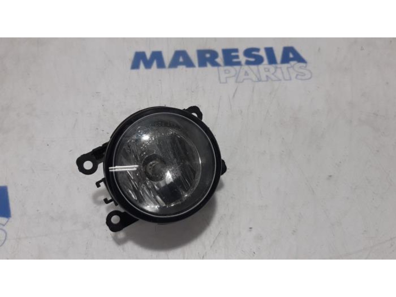 Renault - Scenic - Fog light, front left
