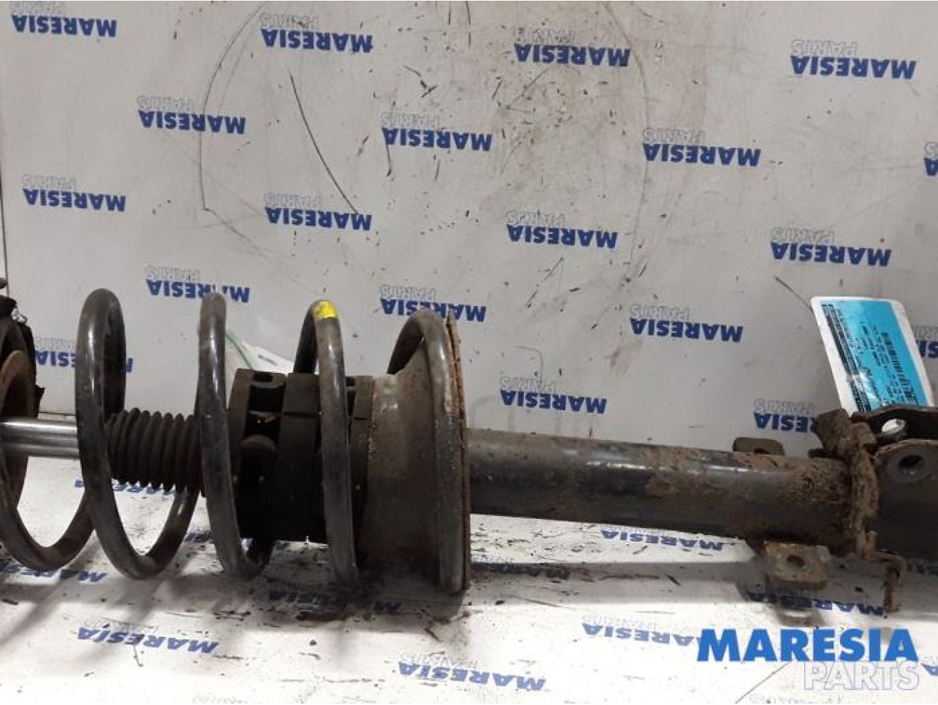 Renault - Megane Scenic - Front shock absorber rod, right
