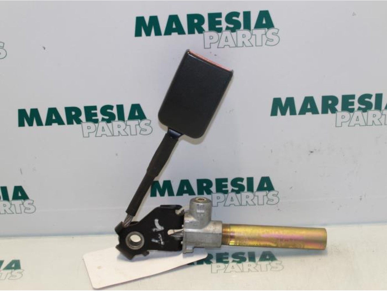Renault - Megane Scenic - Gurtsrammer links