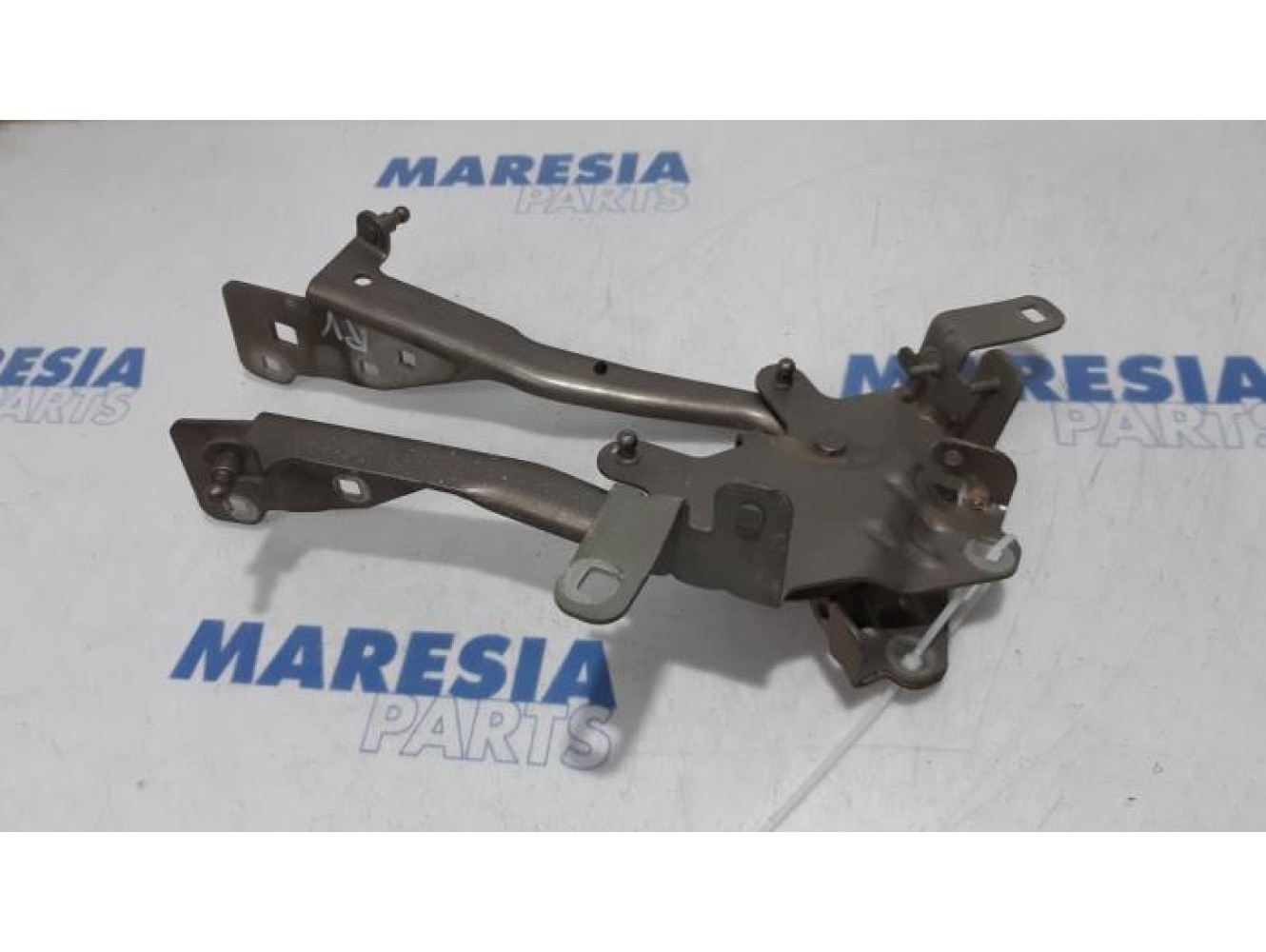 Renault - Scenic - Bonnet Hinge