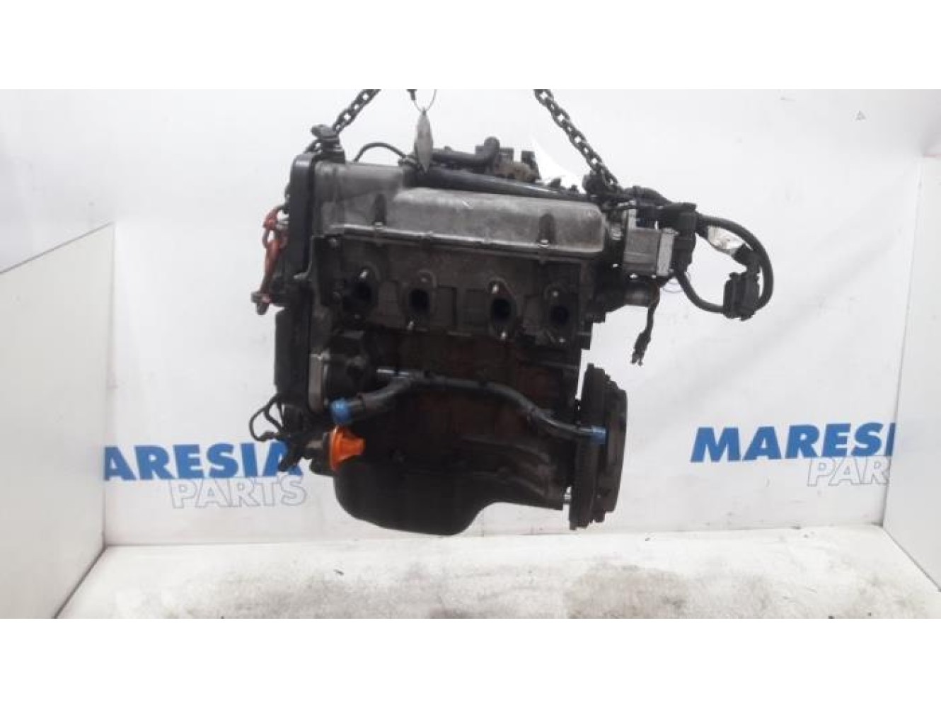 Fiat - Panda - Engine