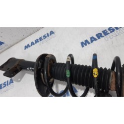 Citroen - Berlingo - Front shock absorber rod, left