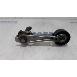 Peugeot - 207 - Spanrolle multiriem