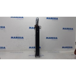 Peugeot - 207 - Roll bar