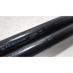Renault - Clio - Set of tailgate gas struts