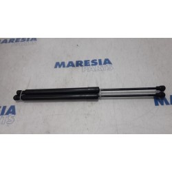 Renault - Clio - Set of tailgate gas struts